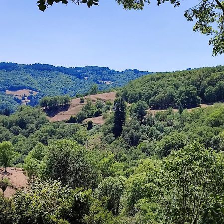 Maison Charmante A Florentin La Capelle Avec Jardin Et Vue Montagne Экстерьер фото